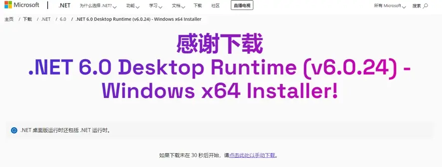 .net runtime env installation